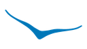 BEGINEER